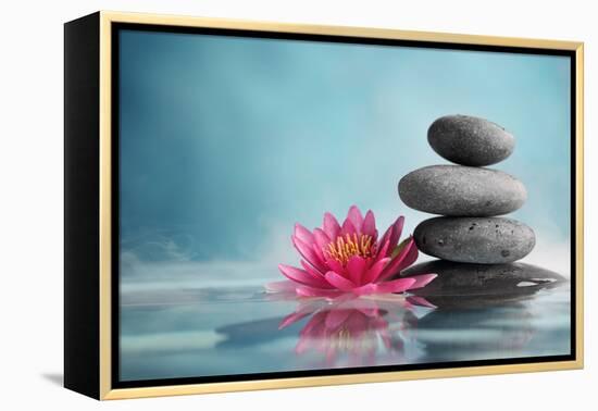 Spa Still Life with Water Lily and Zen Stone in a Serenity Pool-Liang Zhang-Framed Premier Image Canvas