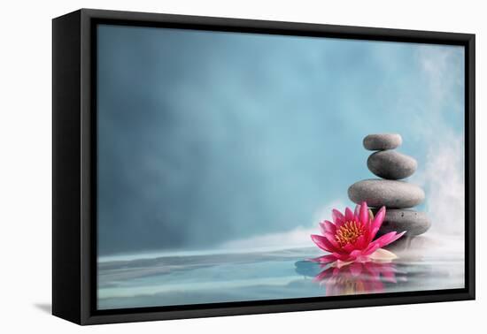 Spa Still Life with Water Lily and Zen Stone in a Serenity Pool-Sofiaworld-Framed Premier Image Canvas