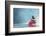 Spa Still Life with Water Lily and Zen Stone in a Serenity Pool-Sofiaworld-Framed Photographic Print