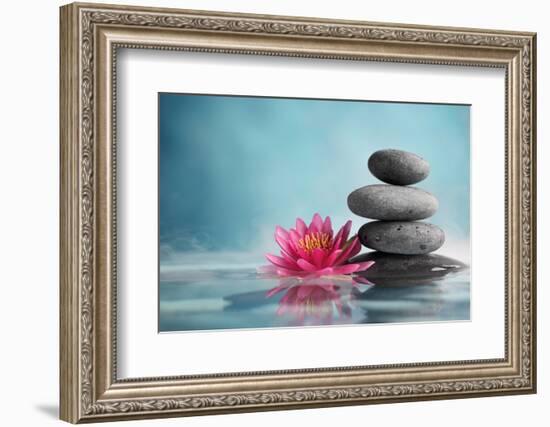 Spa Still Life with Water Lily and Zen Stone in a Serenity Pool-Liang Zhang-Framed Photographic Print