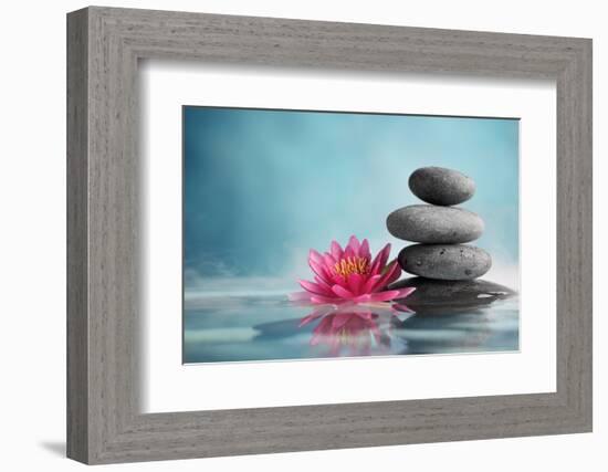 Spa Still Life with Water Lily and Zen Stone in a Serenity Pool-Liang Zhang-Framed Photographic Print