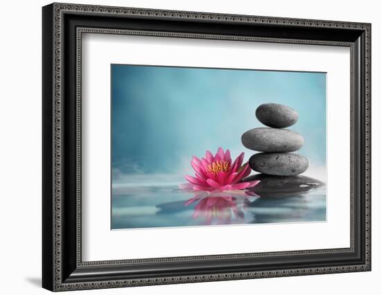 Spa Still Life with Water Lily and Zen Stone in a Serenity Pool-Liang Zhang-Framed Photographic Print