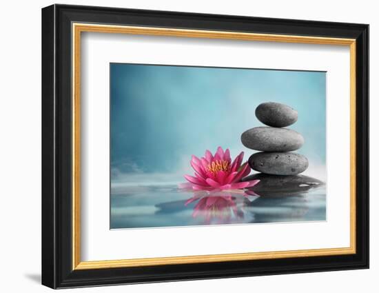 Spa Still Life with Water Lily and Zen Stone in a Serenity Pool-Liang Zhang-Framed Photographic Print