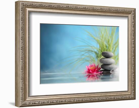 Spa Still Life with Water Lily and Zen Stone in a Serenity Pool-Sofiaworld-Framed Photographic Print