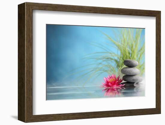 Spa Still Life with Water Lily and Zen Stone in a Serenity Pool-Sofiaworld-Framed Photographic Print