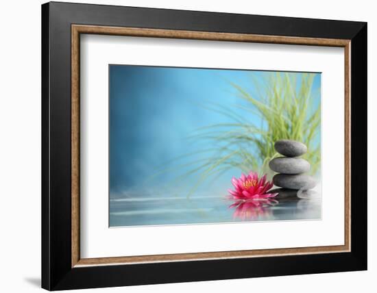 Spa Still Life with Water Lily and Zen Stone in a Serenity Pool-Sofiaworld-Framed Photographic Print