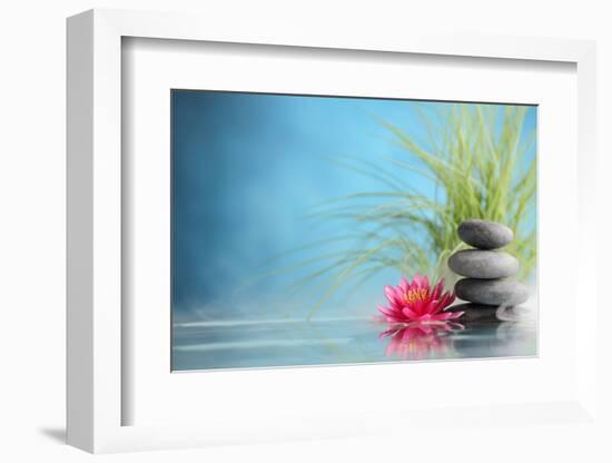 Spa Still Life with Water Lily and Zen Stone in a Serenity Pool-Sofiaworld-Framed Photographic Print