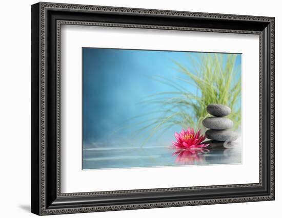 Spa Still Life with Water Lily and Zen Stone in a Serenity Pool-Sofiaworld-Framed Photographic Print