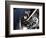 Space: Apollo 9-null-Framed Photographic Print