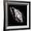 Space Art-Florent Bodart-Framed Giclee Print