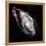 Space Art-Florent Bodart-Framed Premier Image Canvas