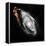 Space Art-Florent Bodart-Framed Premier Image Canvas