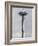 Space Needle, 520 Ft Tall, Seattle, Washington State, United States of America, North America-De Mann Jean-Pierre-Framed Photographic Print