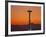 Space Needle and Olympic Mountains at Dusk, Seattle, Washington, USA-David Barnes-Framed Photographic Print