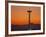 Space Needle and Olympic Mountains at Dusk, Seattle, Washington, USA-David Barnes-Framed Photographic Print