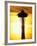 Space Needle at Sunset, Seattle, Washington, USA-Paul Souders-Framed Photographic Print