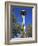 Space Needle, Seattle Center, Seattle, Washington State, United States of America, North America-Richard Cummins-Framed Photographic Print