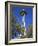 Space Needle, Seattle Center, Seattle, Washington State, United States of America, North America-Richard Cummins-Framed Photographic Print