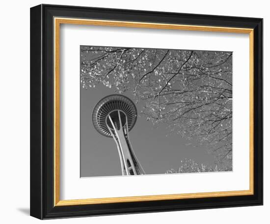 Space Needle, Seattle, Washington, USA-Savanah Stewart-Framed Photographic Print