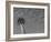 Space Needle, Seattle, Washington, USA-Savanah Stewart-Framed Photographic Print