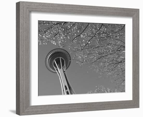 Space Needle, Seattle, Washington, USA-Savanah Stewart-Framed Photographic Print