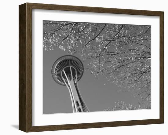 Space Needle, Seattle, Washington, USA-Savanah Stewart-Framed Photographic Print