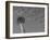 Space Needle, Seattle, Washington, USA-Savanah Stewart-Framed Photographic Print