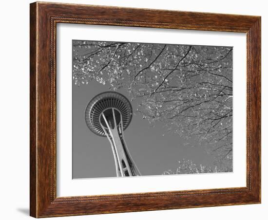 Space Needle, Seattle, Washington, USA-Savanah Stewart-Framed Photographic Print