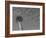 Space Needle, Seattle, Washington, USA-Savanah Stewart-Framed Photographic Print