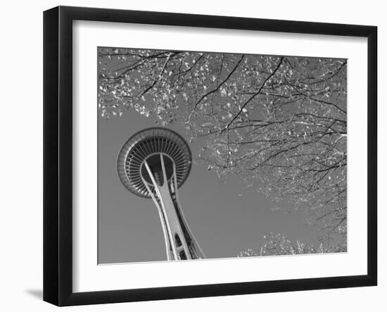 Space Needle, Seattle, Washington, USA-Savanah Stewart-Framed Photographic Print