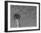 Space Needle, Seattle, Washington, USA-Savanah Stewart-Framed Photographic Print