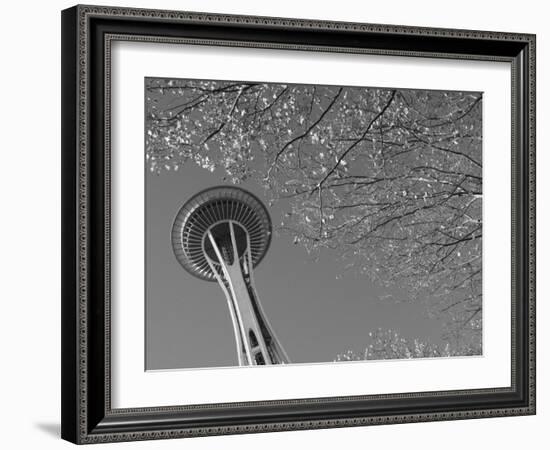 Space Needle, Seattle, Washington, USA-Savanah Stewart-Framed Photographic Print