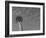 Space Needle, Seattle, Washington, USA-Savanah Stewart-Framed Photographic Print