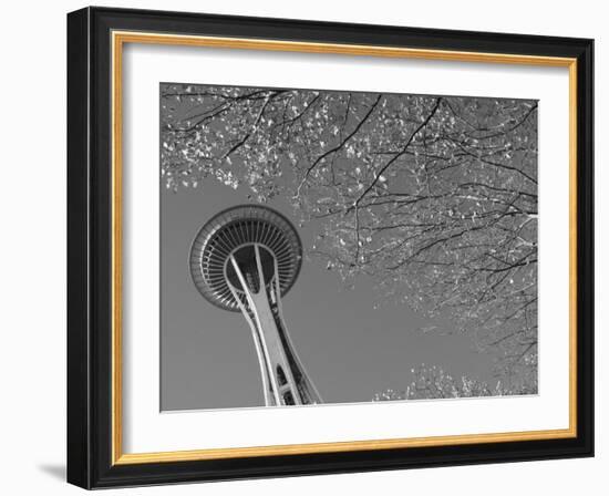 Space Needle, Seattle, Washington, USA-Savanah Stewart-Framed Photographic Print