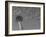 Space Needle, Seattle, Washington, USA-Savanah Stewart-Framed Photographic Print