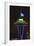 Space Needle with Seahawk colors and 12th man flag. Washington, USA-Jamie & Judy Wild-Framed Photographic Print