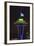 Space Needle with Seahawk colors and 12th man flag. Washington, USA-Jamie & Judy Wild-Framed Photographic Print