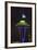 Space Needle with Seahawk colors and 12th man flag. Washington, USA-Jamie & Judy Wild-Framed Photographic Print