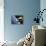 Space Shuttle and Earth-David Bases-Framed Premier Image Canvas displayed on a wall