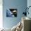 Space Shuttle and Earth-David Bases-Photographic Print displayed on a wall