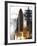 Space Shuttle Atlantis Lifts Off from its Launch Pad at Kennedy Space Center, Florida-null-Framed Photographic Print