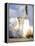 Space Shuttle Atlantis Lifts Off from its Launch Pad-null-Framed Premier Image Canvas