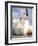 Space Shuttle Atlantis Lifts Off from its Launch Pad-null-Framed Photographic Print