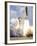 Space Shuttle Atlantis Lifts Off from its Launch Pad-null-Framed Photographic Print