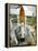 Space Shuttle Atlantis on the Launch Pad at Kennedy Space Center, Florida-Stocktrek Images-Framed Premier Image Canvas