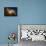 Space Shuttle Atlantis-null-Framed Premier Image Canvas displayed on a wall