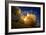 Space Shuttle Atlantis-null-Framed Photographic Print