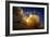 Space Shuttle Atlantis-null-Framed Photographic Print