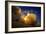 Space Shuttle Atlantis-null-Framed Photographic Print