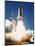 Space Shuttle Columbia-null-Mounted Photographic Print